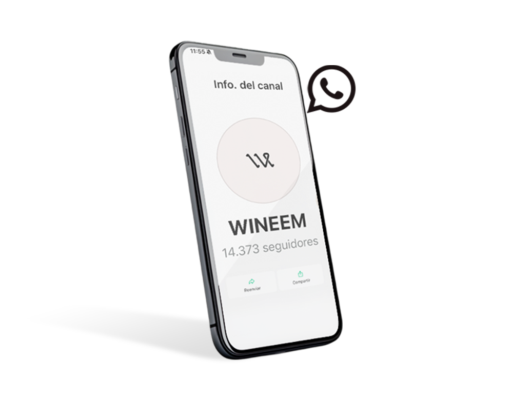 Odoo • Imagen y texto